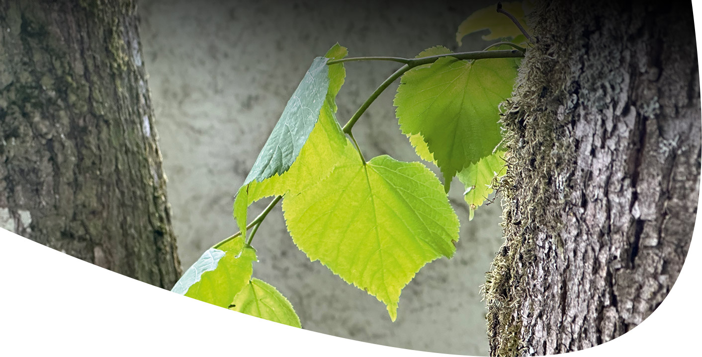 Ignatianische-Einzelexerzitien-breit-1025