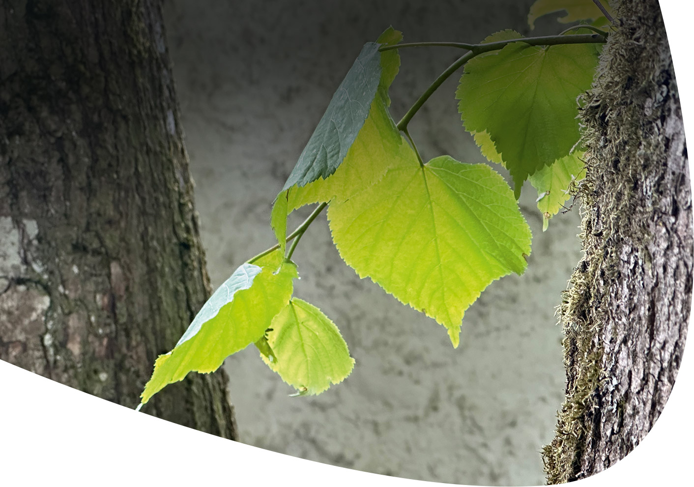 Ignatianische-Einzelexerzitien-hoch-1025